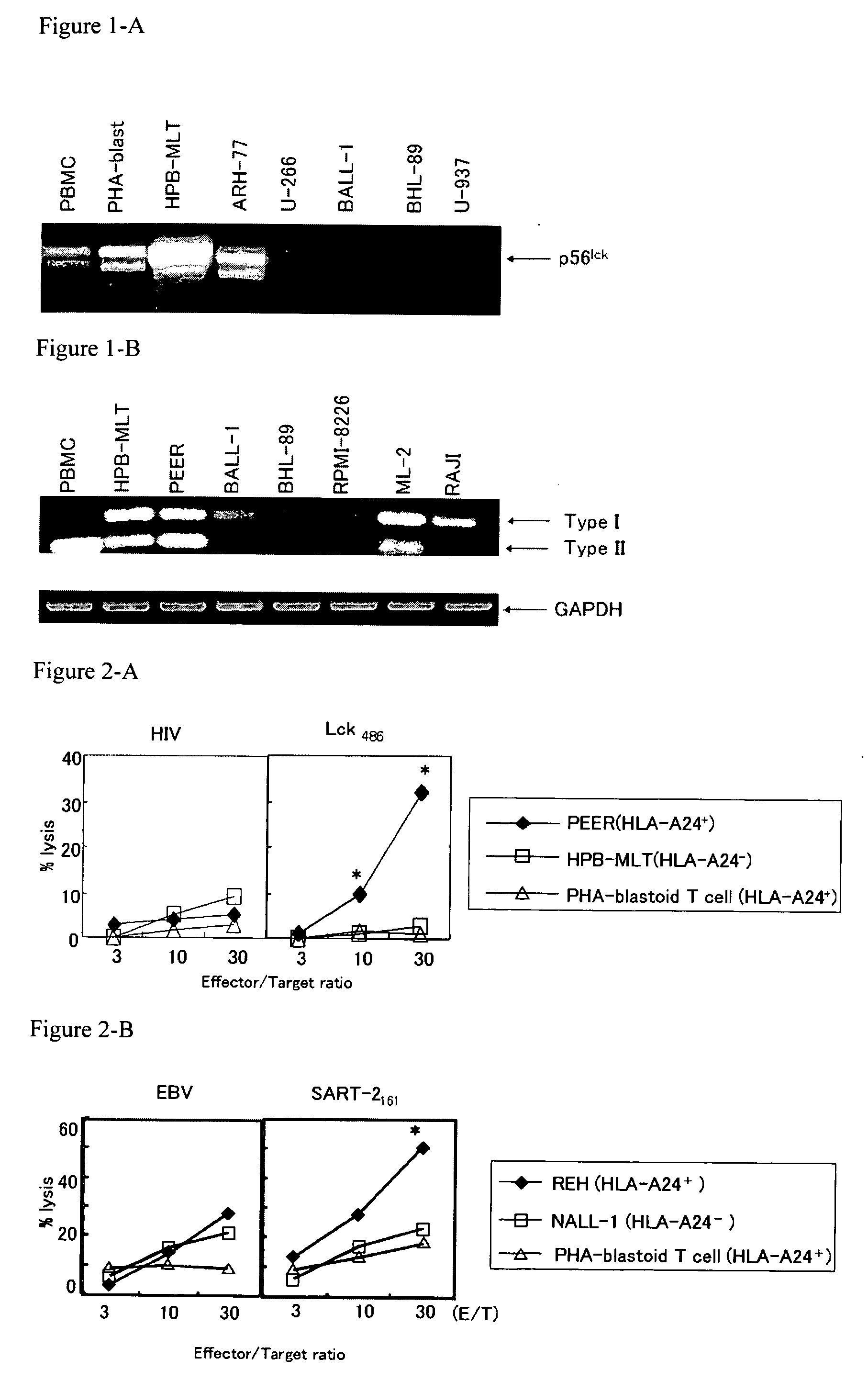 Preventing and/or remedy hematopoietic tumor