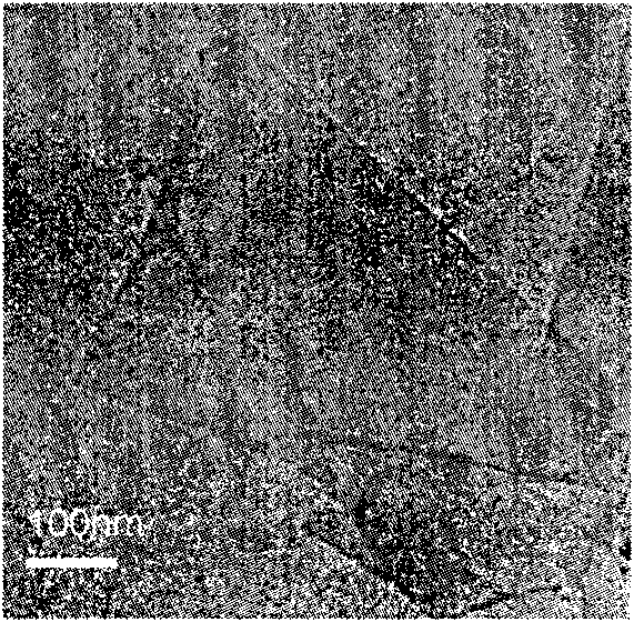 Preparation method of graphene based on ascorbic acid