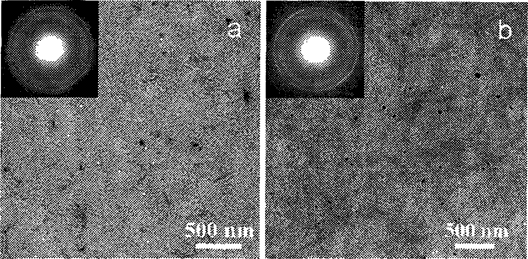 Process for producing polymer solar battery