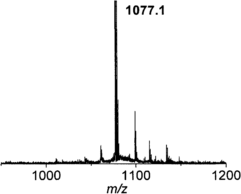 Cell adhesion promoting polypeptide and preparation method thereof