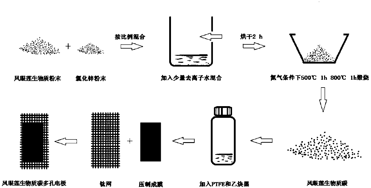 Preparation method and application of primordial water hyacinth biomass carbon porous electrode material