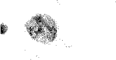 Cell staining reagent and preparation method and application thereof in cell staining