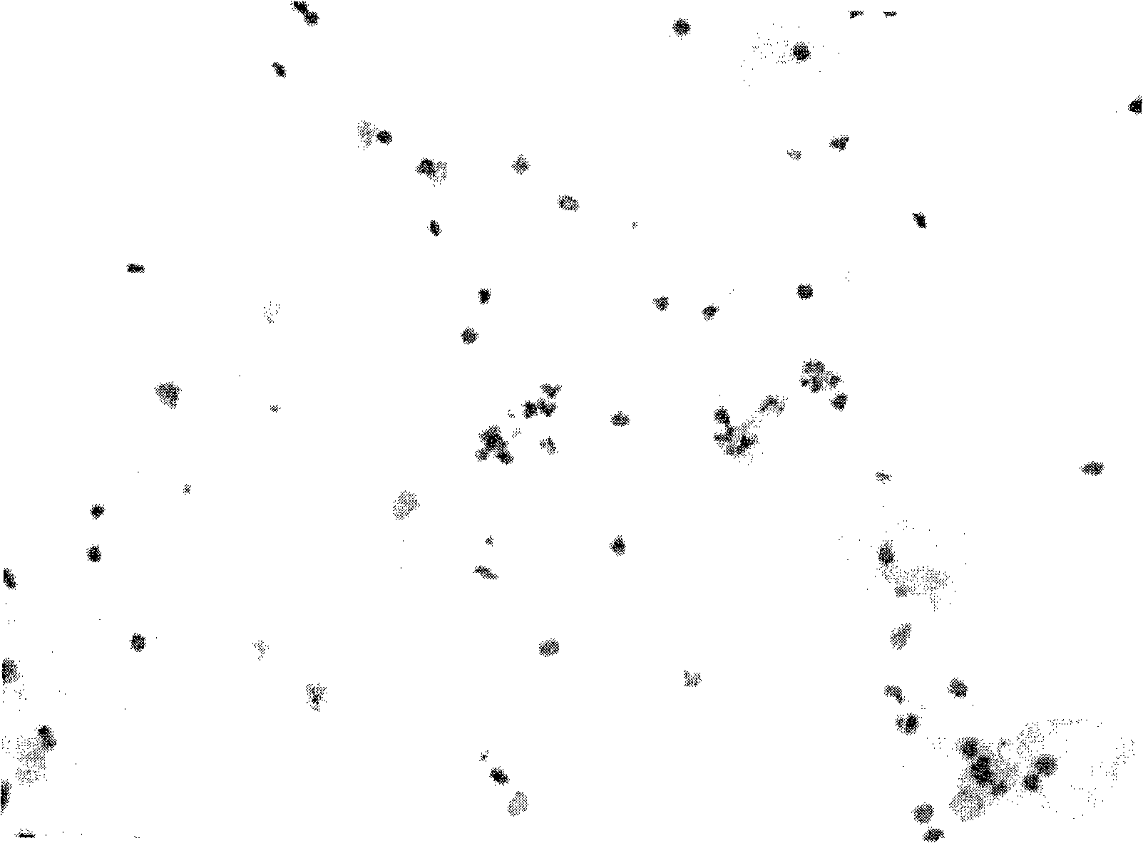 Cell staining reagent and preparation method and application thereof in cell staining