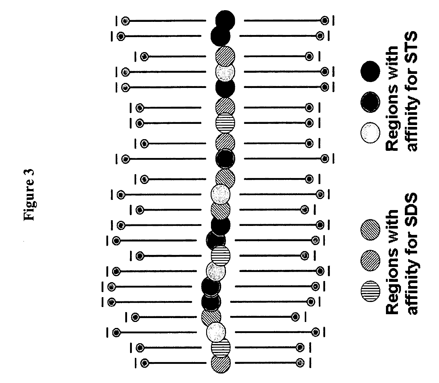 Separation of denatured proteins in free solution