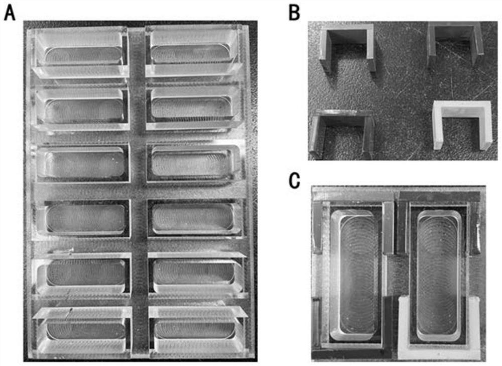 Multi-channel appliance for detecting color preference of juvenile zebrafish as well as using method and application of multi-channel appliance