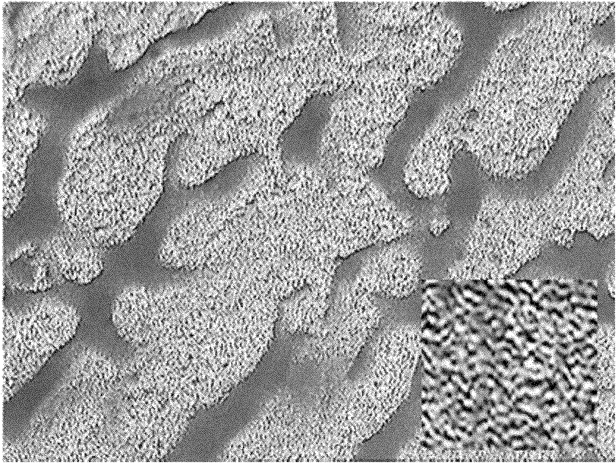 Novel phosphorus and nitrogen containing flame-retardant thermotropic liquid crystal copolyester with low melting point and synthesis method thereof