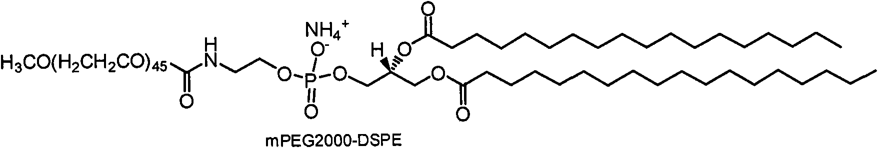 Amphipathilic block polymer micelle nano medicament carrying system and preparation method