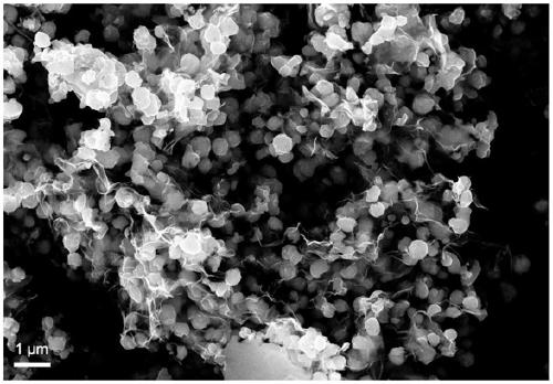 Preparation method of nano ferrous sulfide/graphene composite positive electrode material