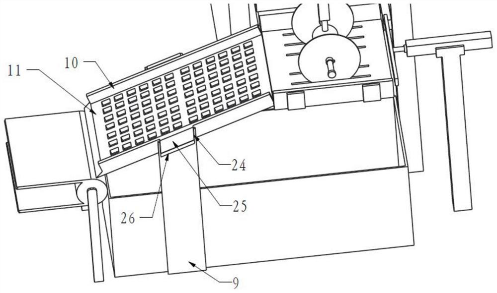 Spicy strip blank cooling and sectioning device