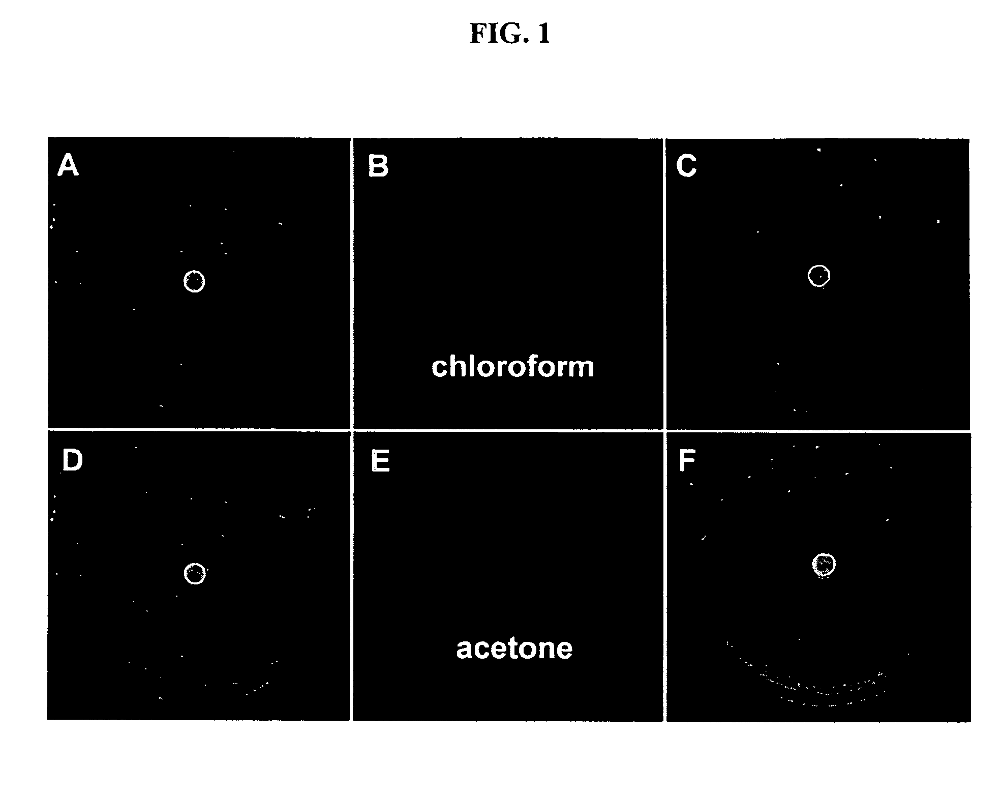 Environment sensor and conjugated polyene for manufacturing environment sensors