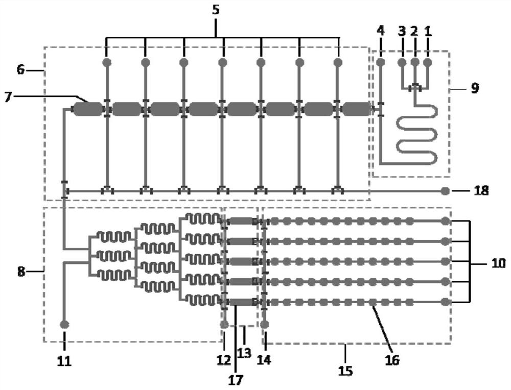 Micro-fluidic chip