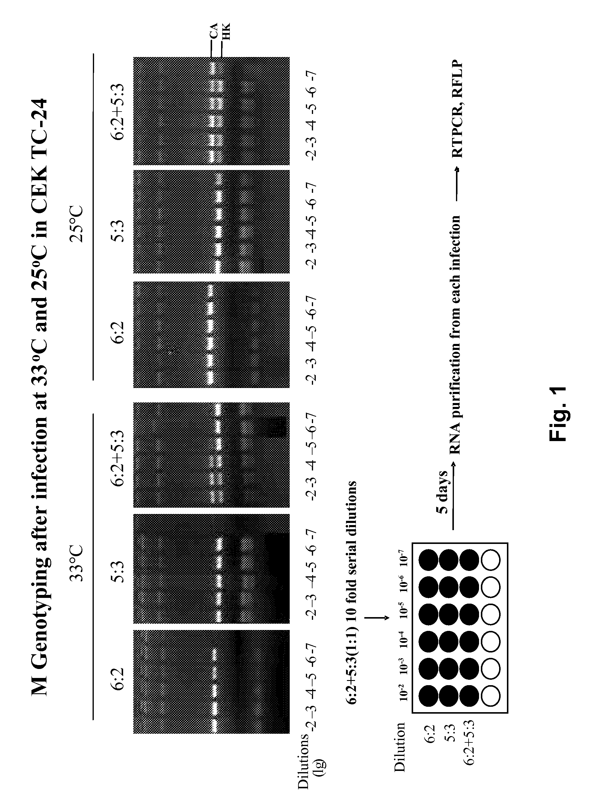 Methods of producing influenza vaccine compositions