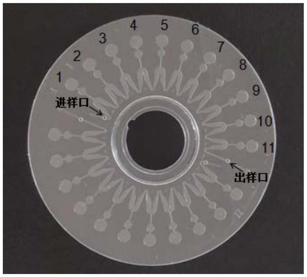 High-throughput micro-fluidic LAMP chip for detecting various original bacteria of goat epidemic diseases and detection method