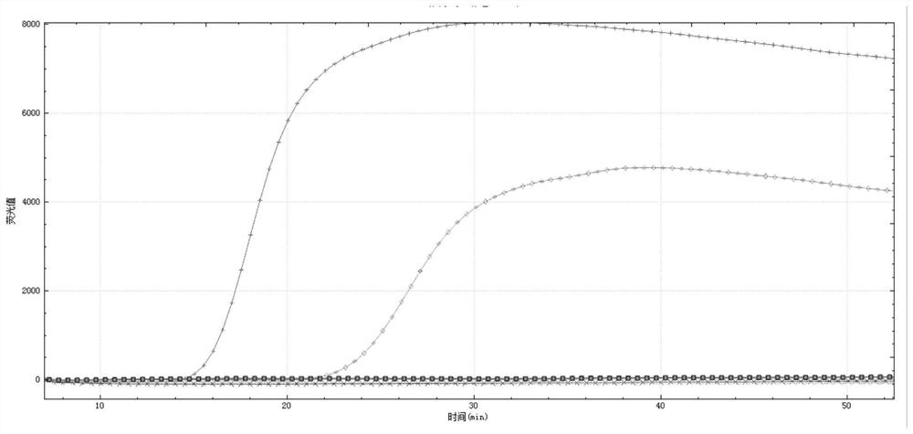 High-throughput micro-fluidic LAMP chip for detecting various original bacteria of goat epidemic diseases and detection method