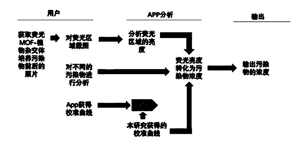 Method for detecting water pollutants based on fluorescent MOF-plant hybrid