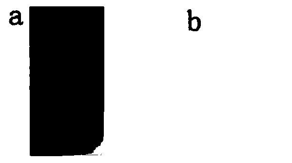 Bistable electrofluorochromatic polymer material, preparation method and applications thereof