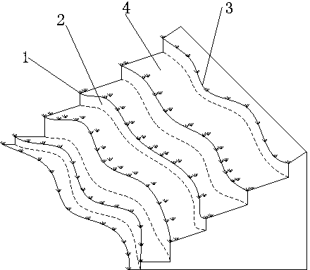 Karst slope hedgerow planting method