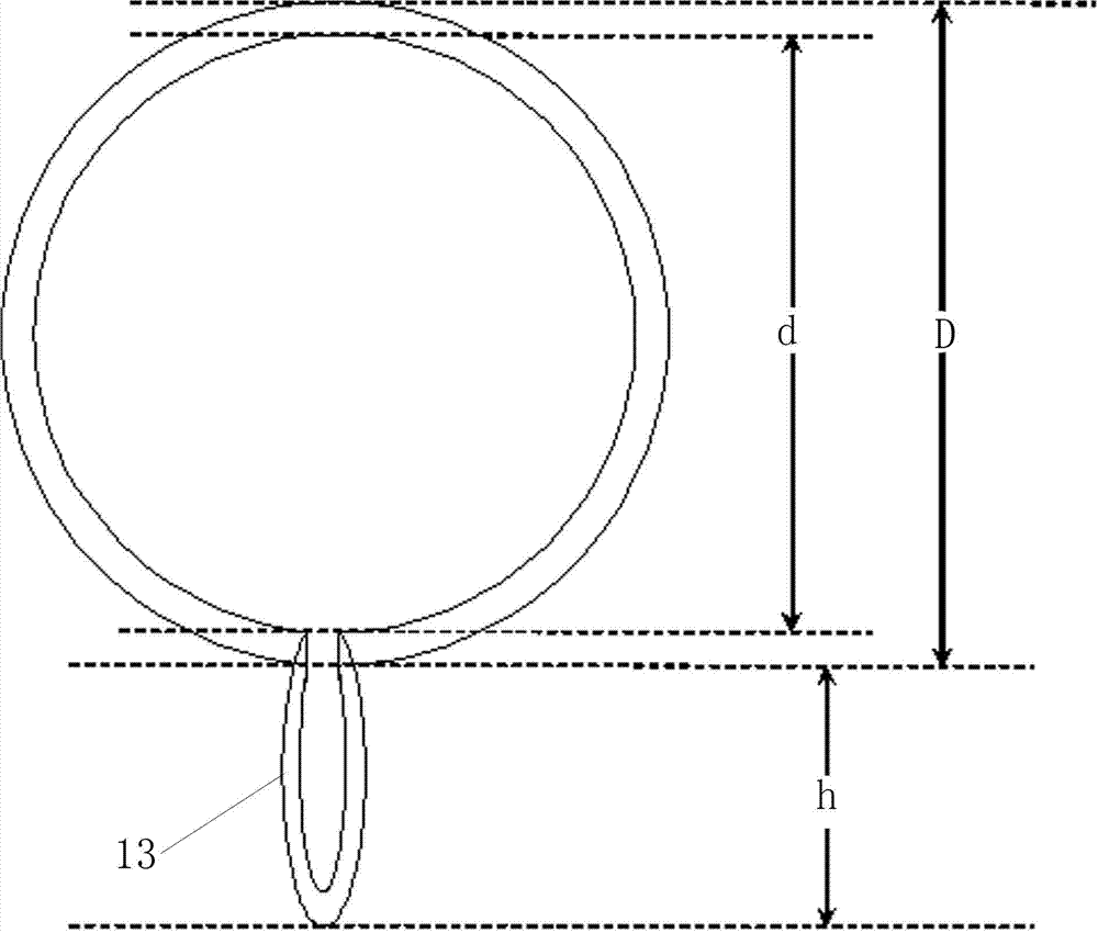 Microwave induction method and device based on Rydberg atoms