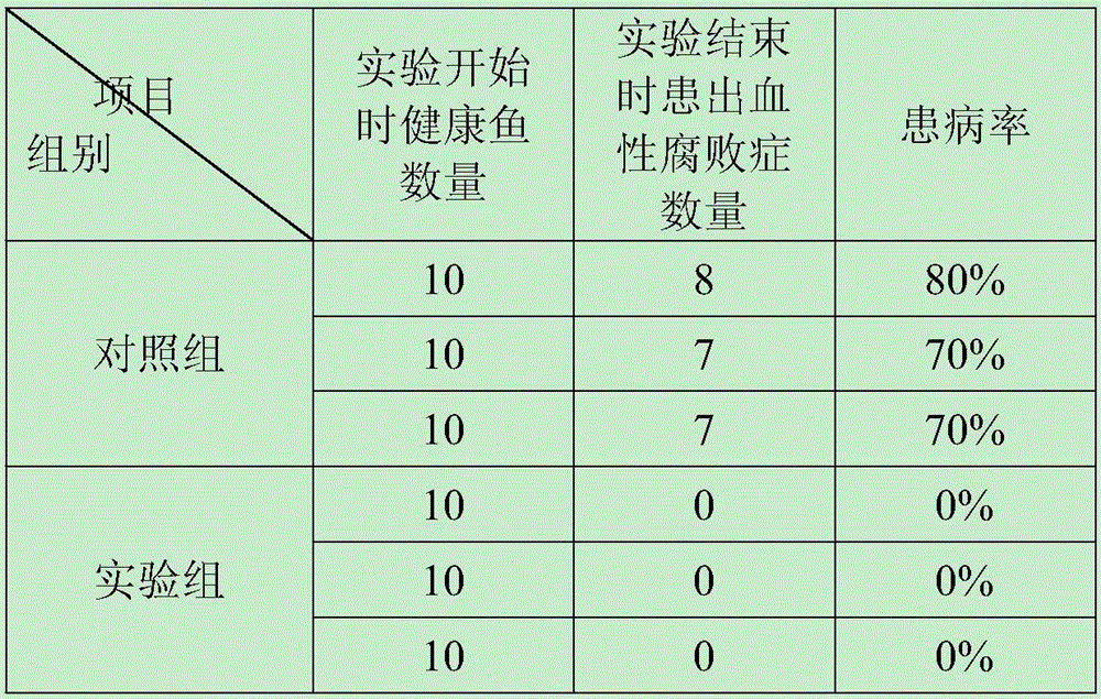 Preparation for treating hemorrhagic rot disease of channel catfish and preparing method of preparation