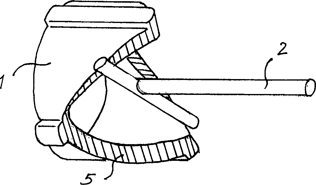 Piston rod mechanism with guide slot in curved face on surface of rotator