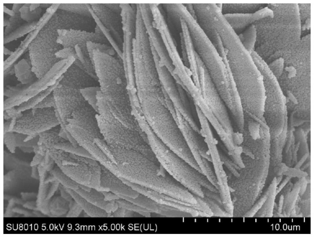 A kind of bimetallic organic framework nanoflower and its derivatives as well as preparation method and application