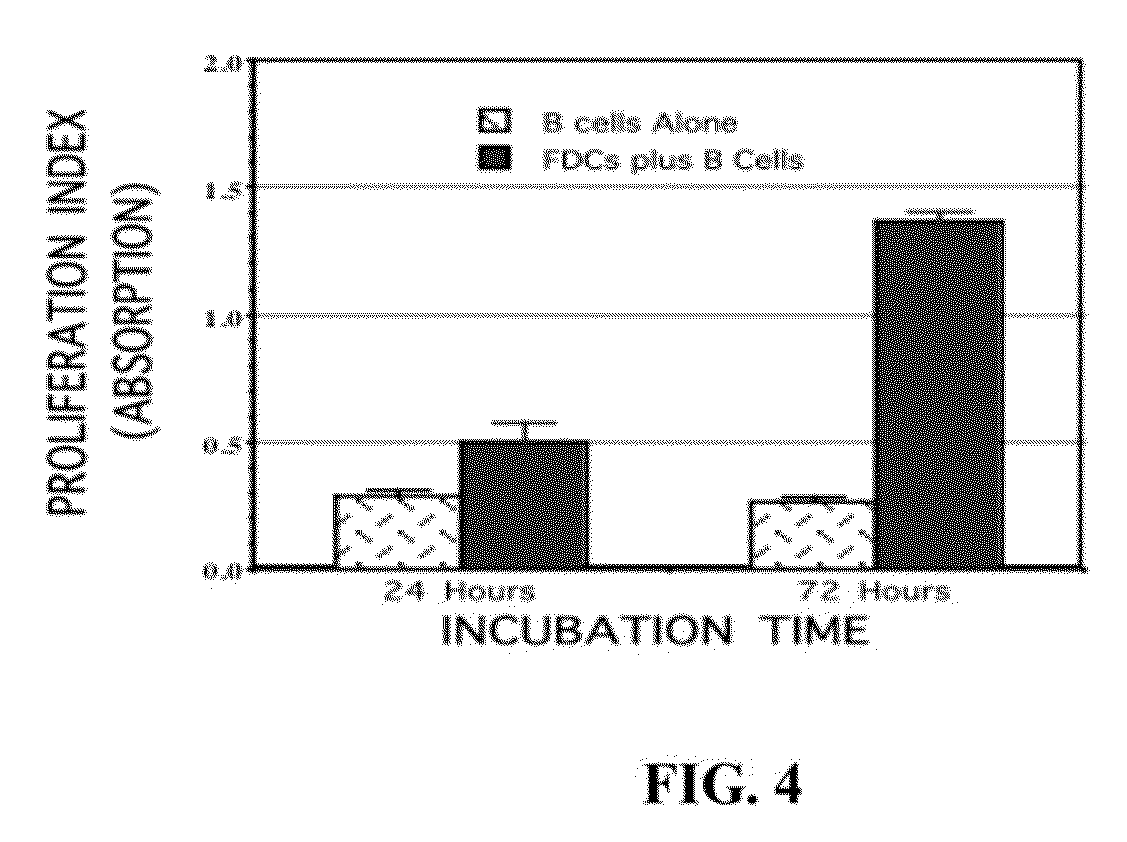 In vitro system for generation of antigen-specific immune responses