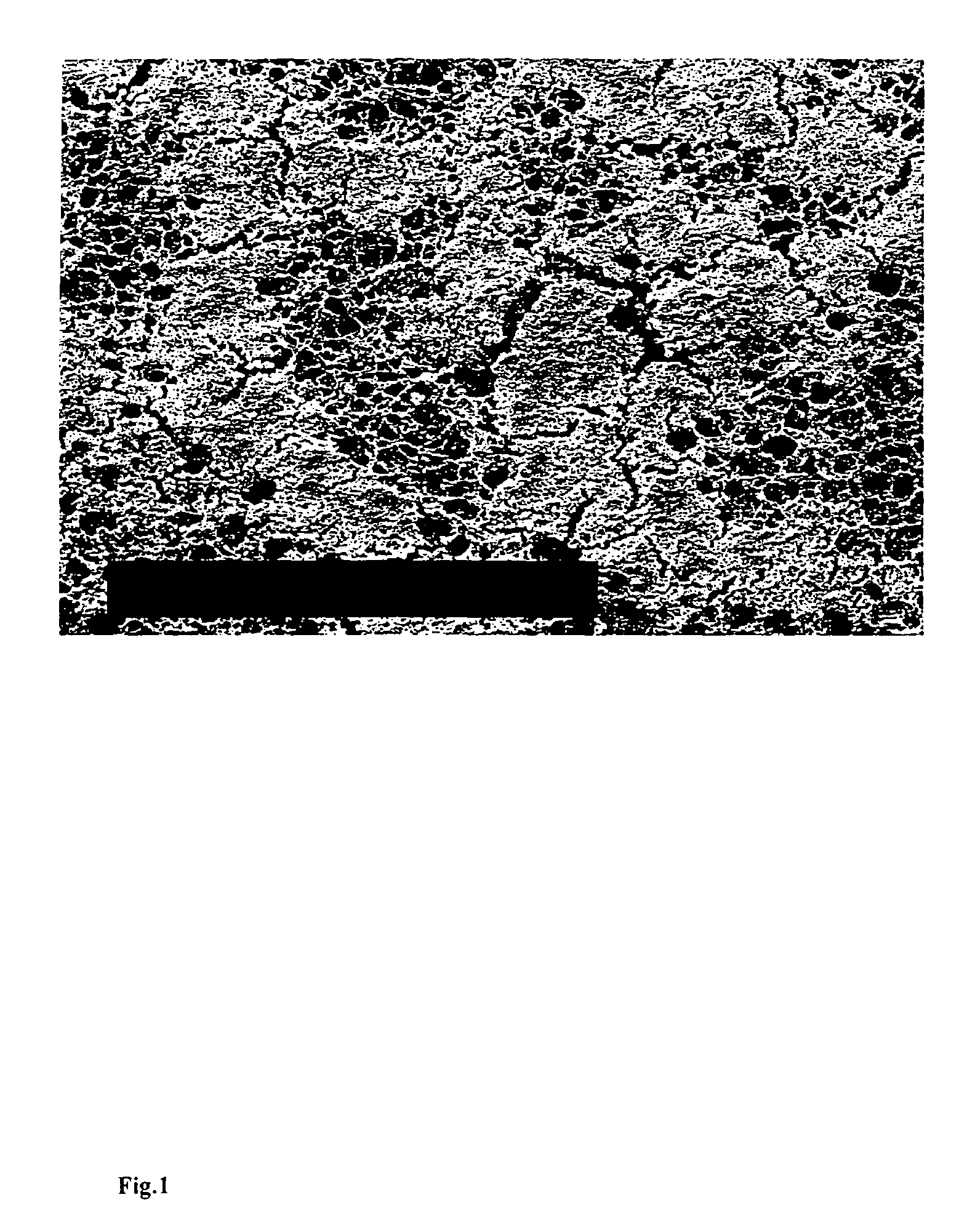 Process for producing surface enhanced membrane