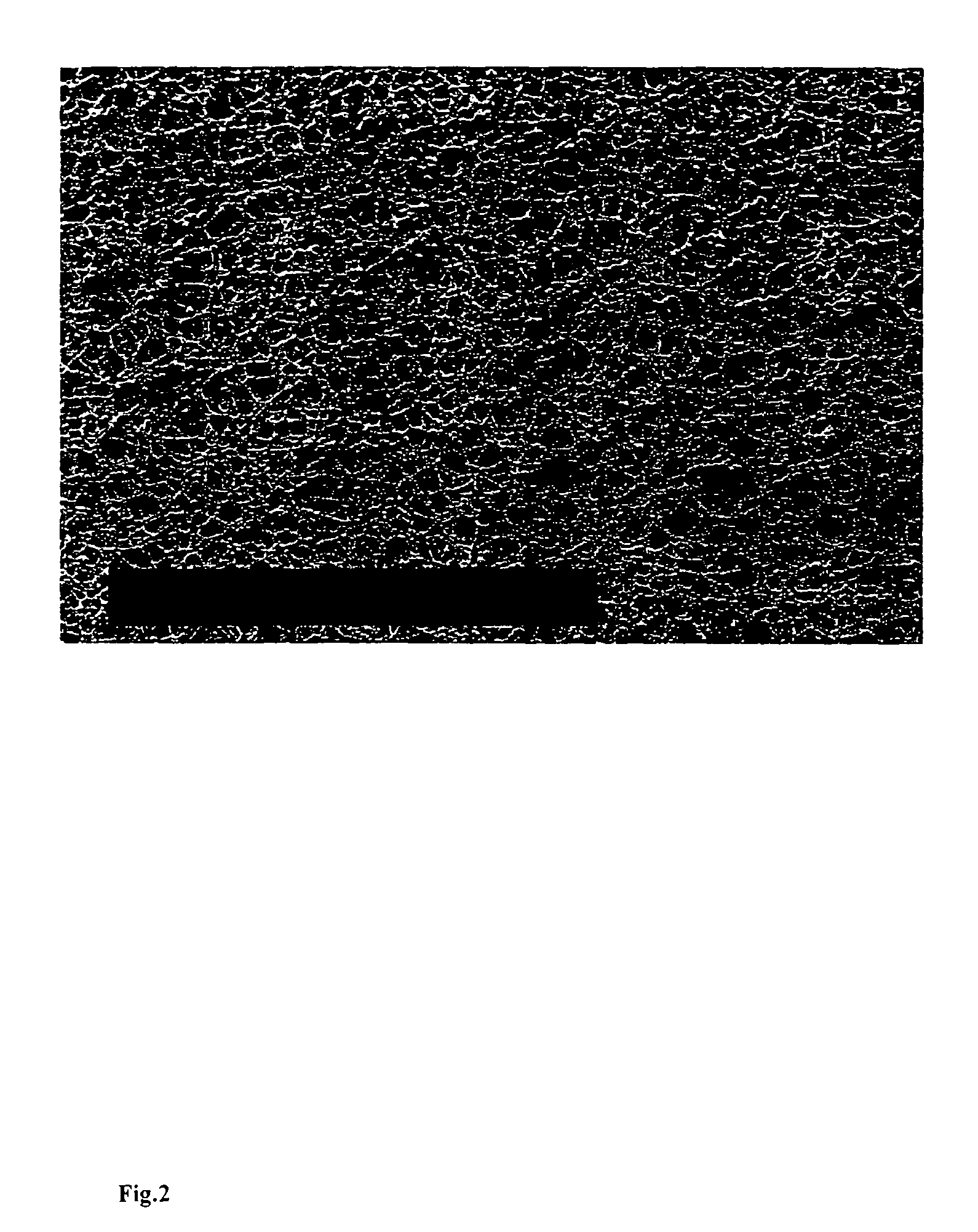 Process for producing surface enhanced membrane