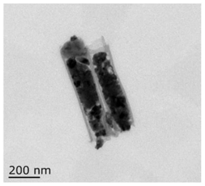 Electrochemical Preparation of Aligned Carbon Nanotubes Embedded with Copper Nanoparticles