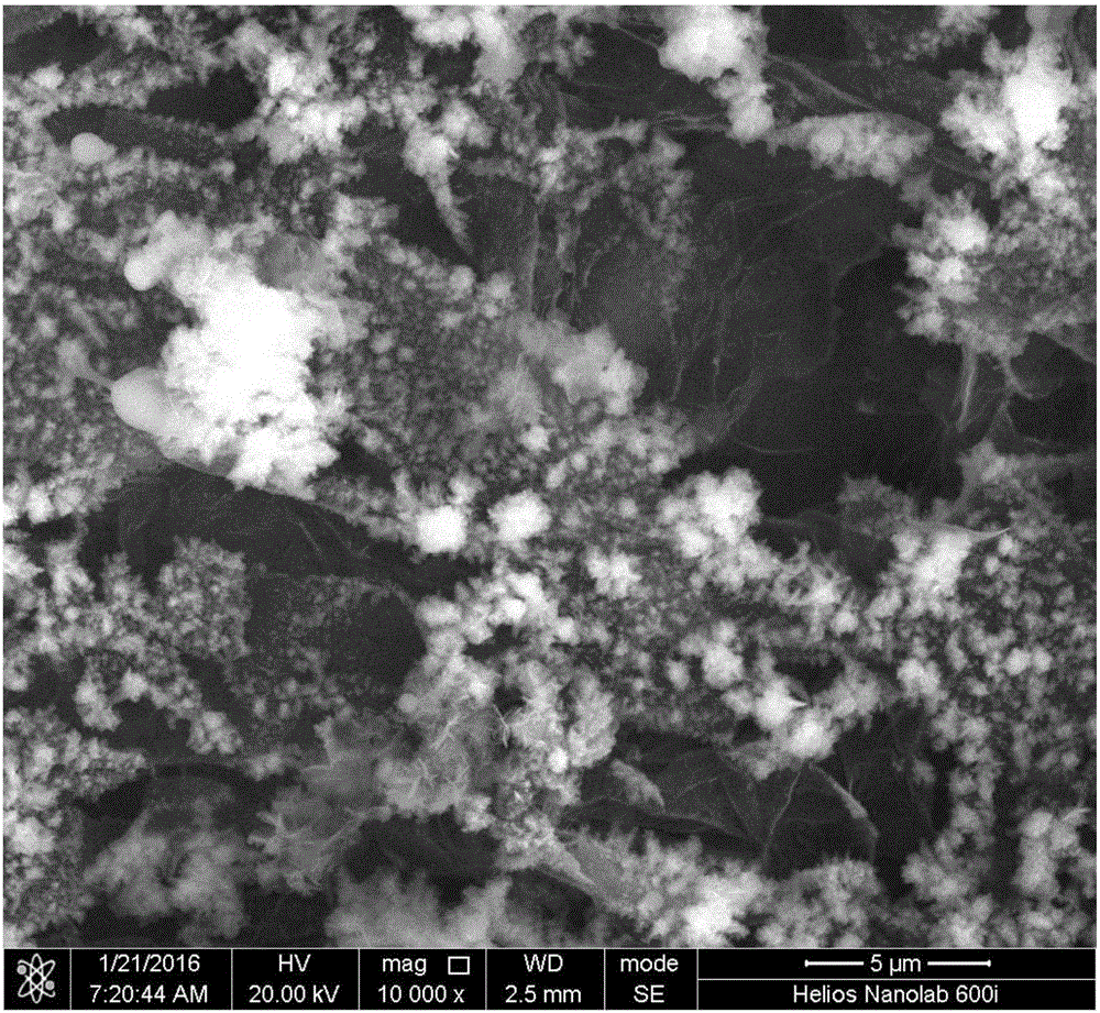 Preparation method of nickel sulfide/graphene/cobalt sulfide three-dimensional composite hydrogen storage material