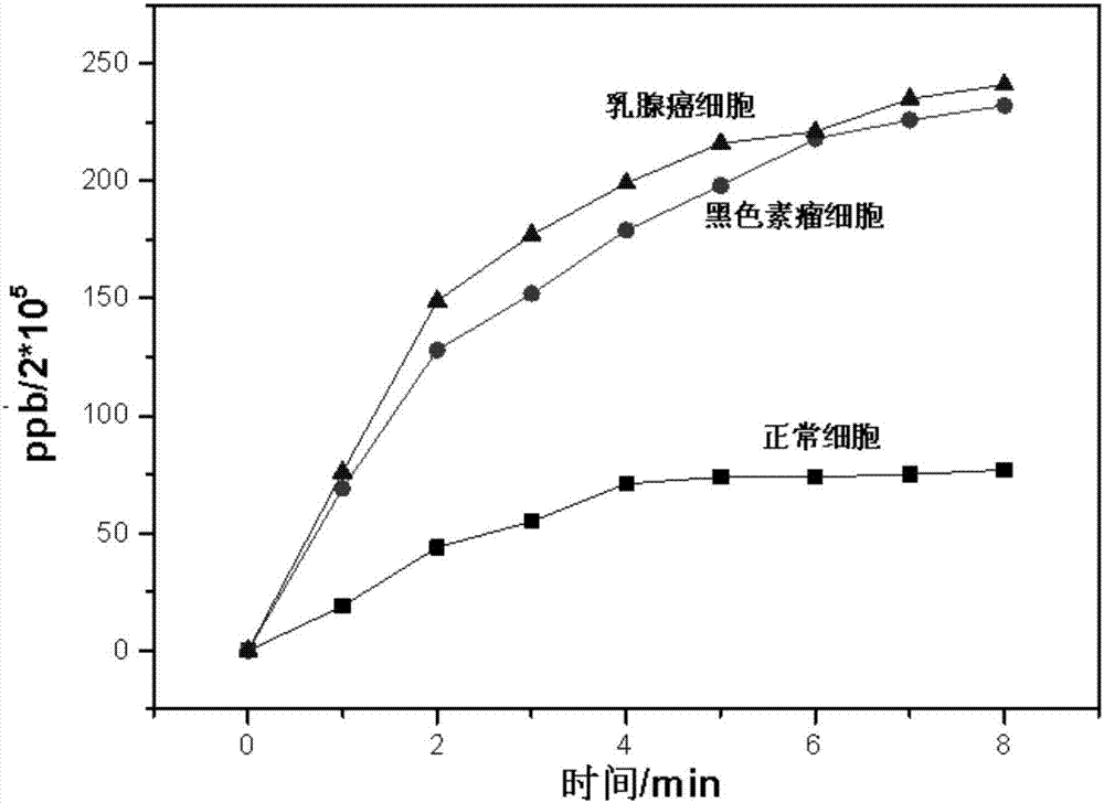 Preparation method of magnetic double targeting nano-particles for cancer treatment and application