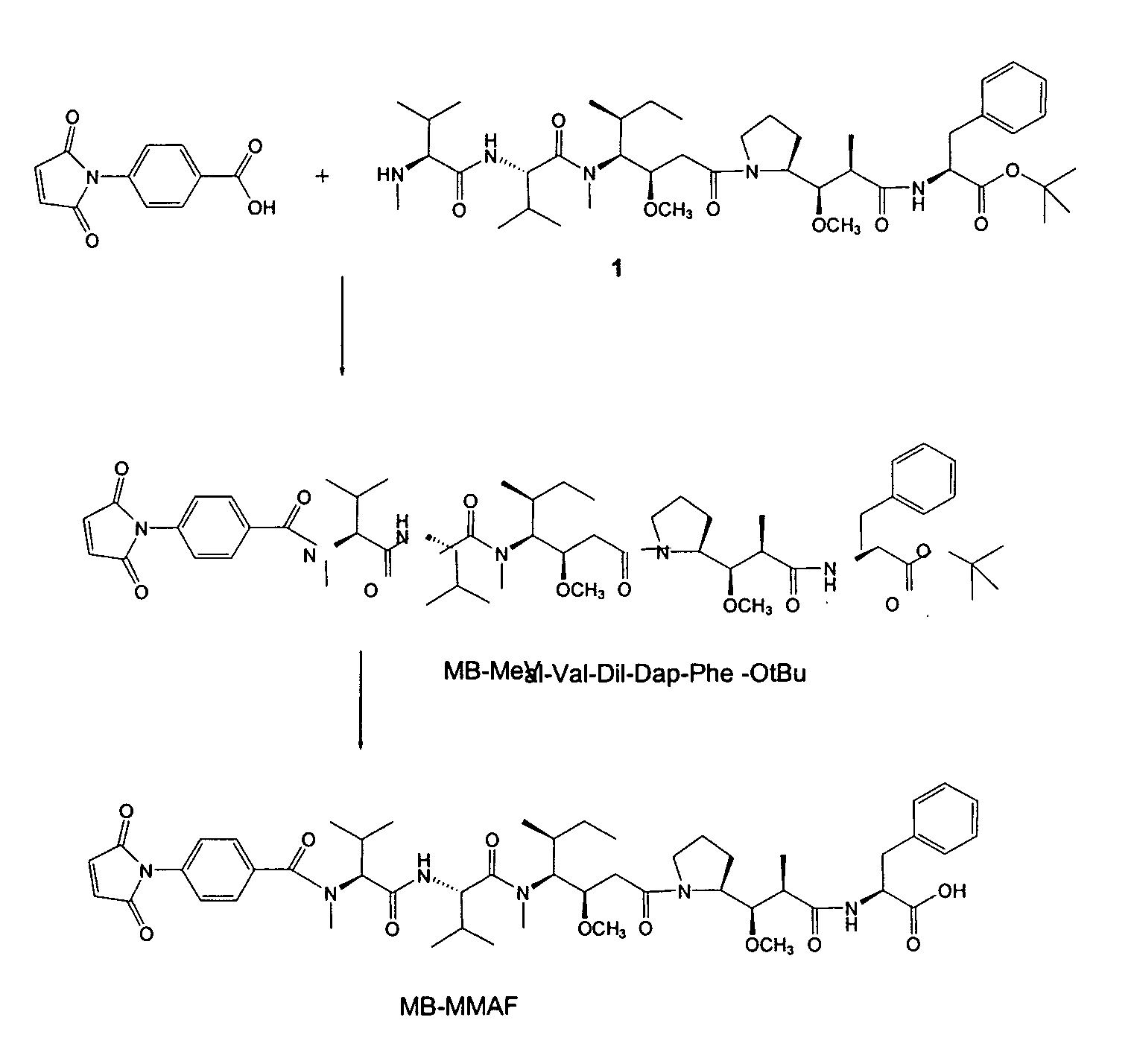 Monomethylvaline compounds capable of conjugation to ligands