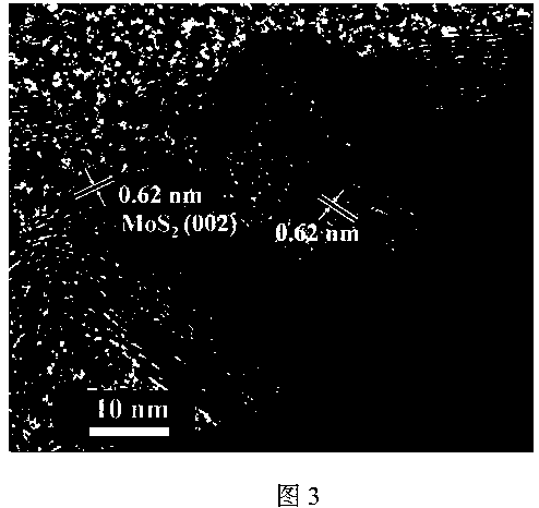 MoS2-RGO-NiO@Ni foam composite photoelectrocatalytic hydrogen evolution material and preparation method thereof