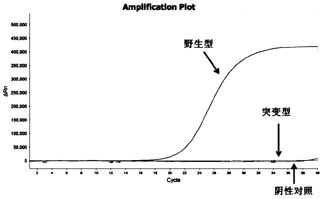 CYP2C19 gene polymorphism detection kit and application thereof