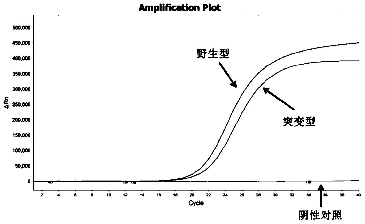 CYP2C19 gene polymorphism detection kit and application thereof