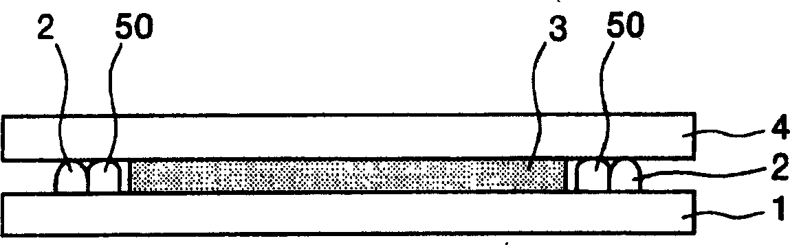 Producing device for electro-optical device, electro-optic device, and electronic instruments