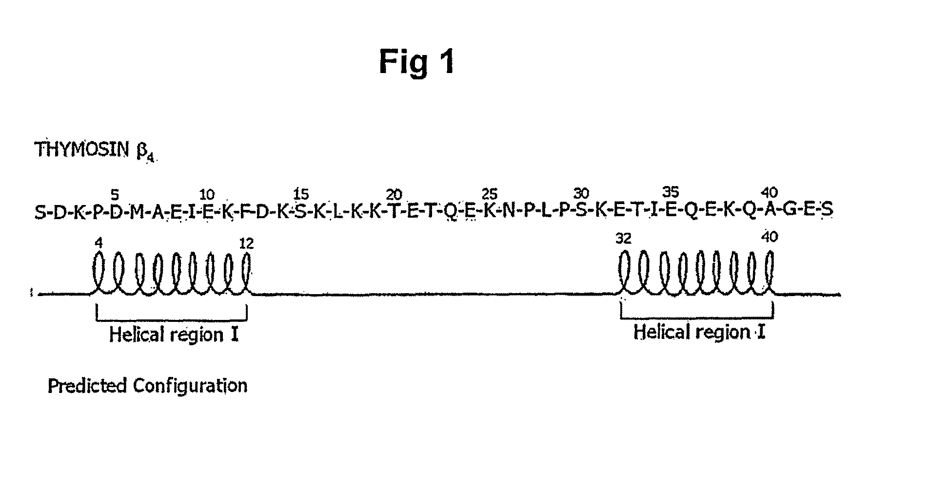 Peptides for promoting hair growth and improving wrinkle and cosmetic compositions comprising the same