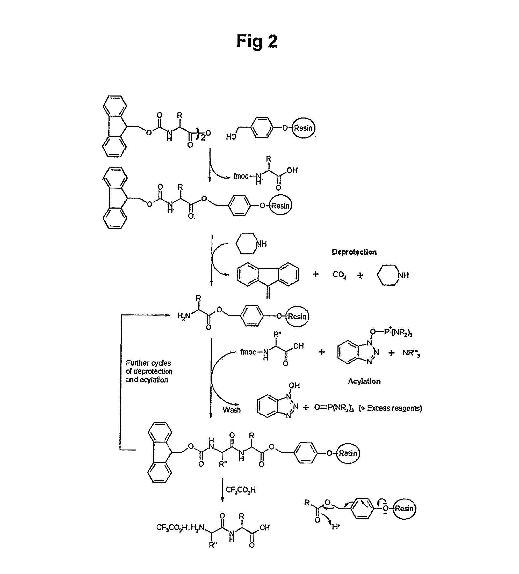 Peptides for promoting hair growth and improving wrinkle and cosmetic compositions comprising the same