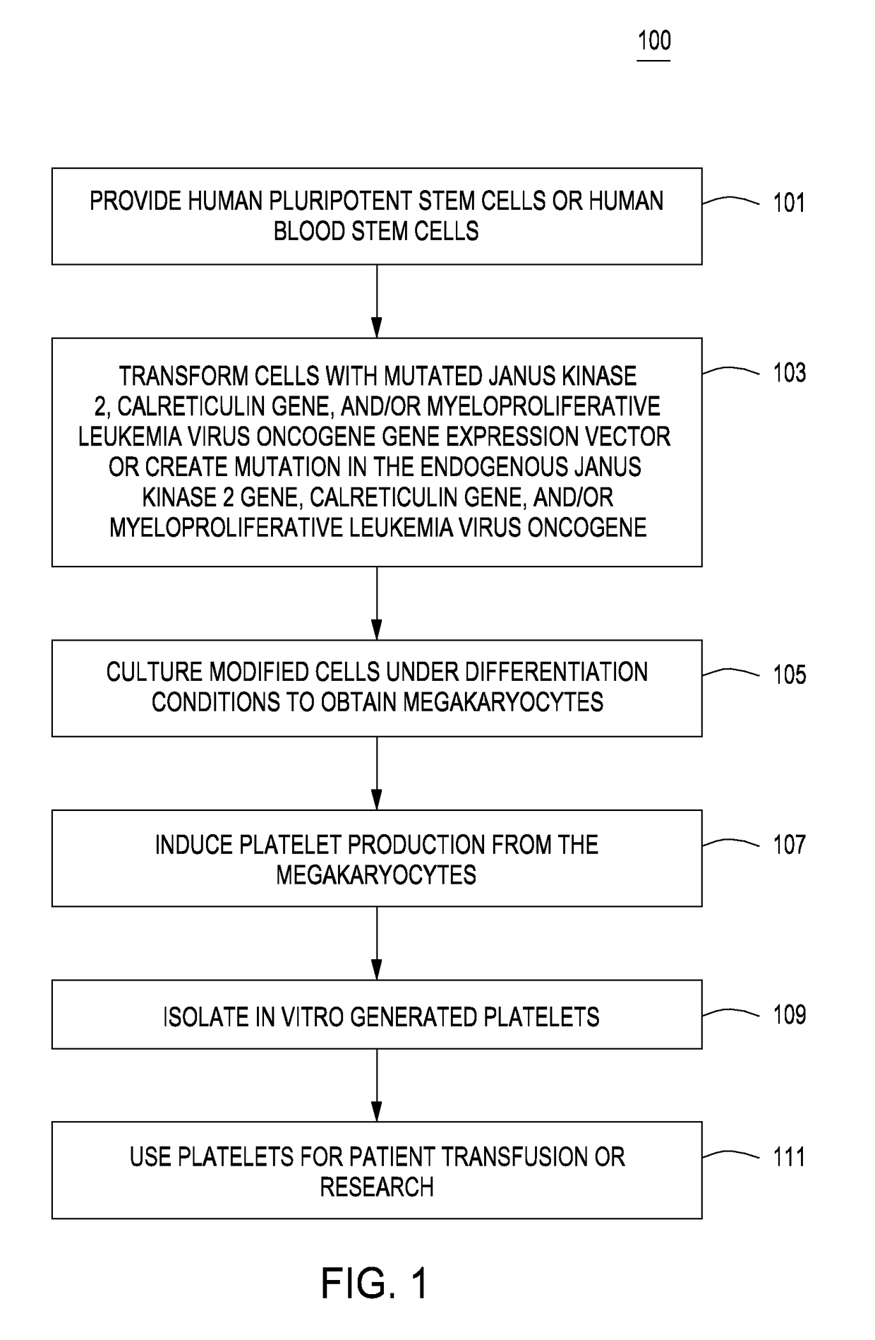 Methods for in vitro production of platelets and compositions and uses thereof