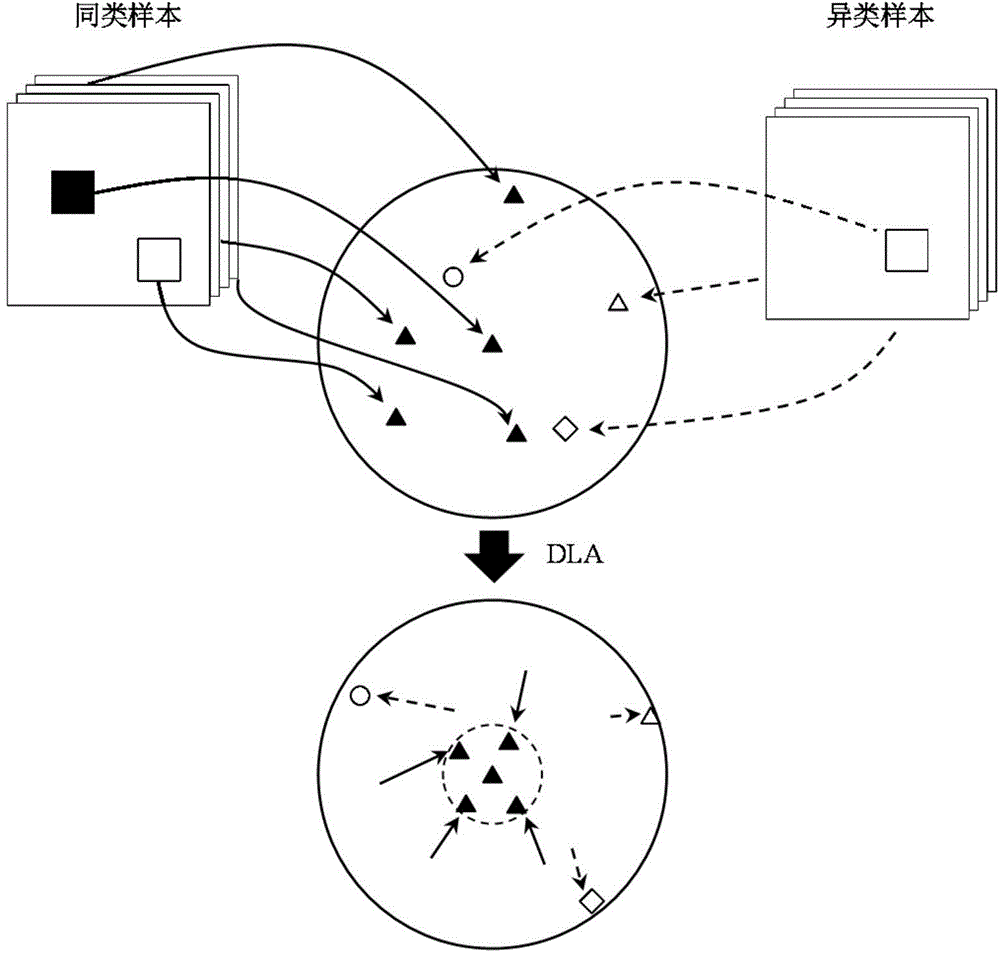 Face beauty evaluation method based on deep learning