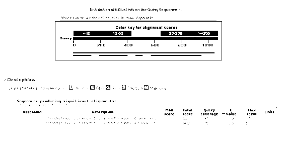 Primers for amplifying Rrspgl, core fragment of gene and application of core fragment