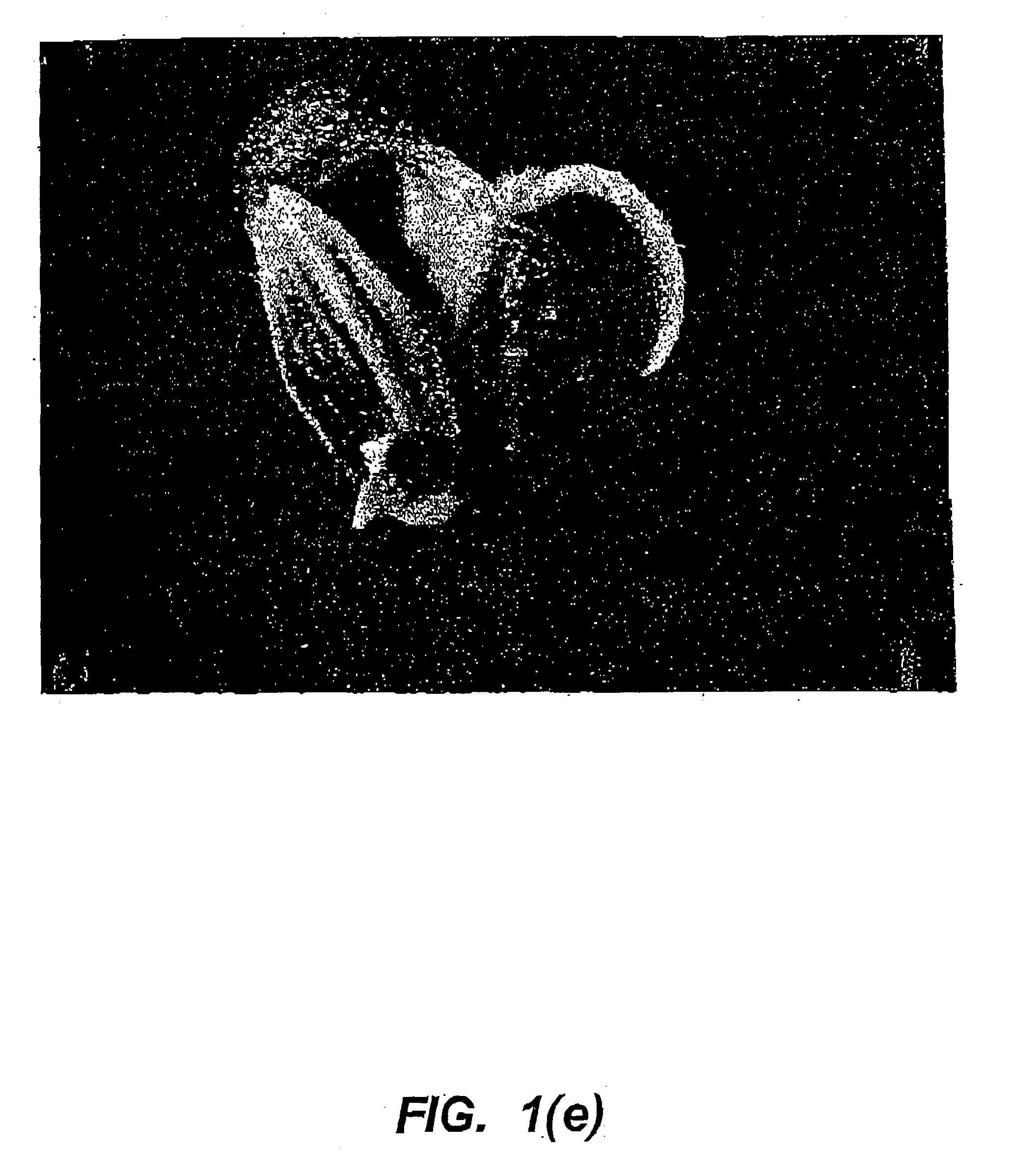 Monocotyledonous plant transformation