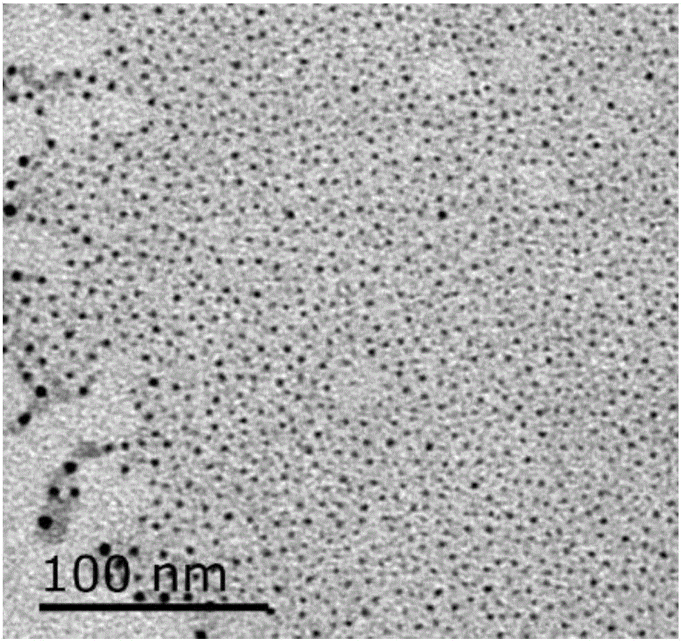 Organic-inorganic hybrid perovskite quantum dot and preparation method thereof