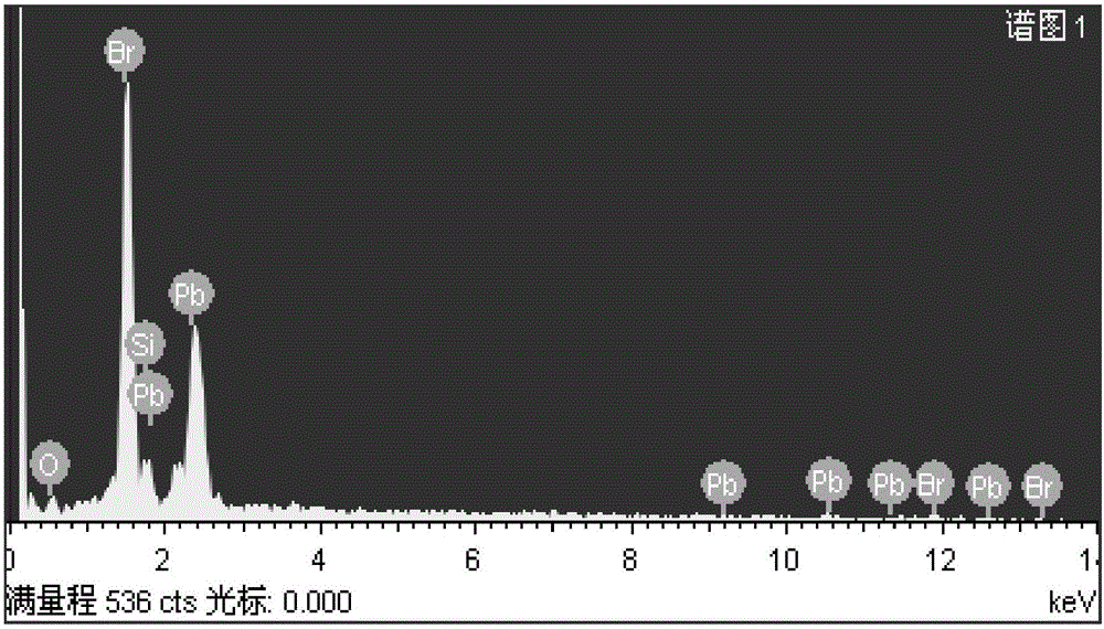 Organic-inorganic hybrid perovskite quantum dot and preparation method thereof