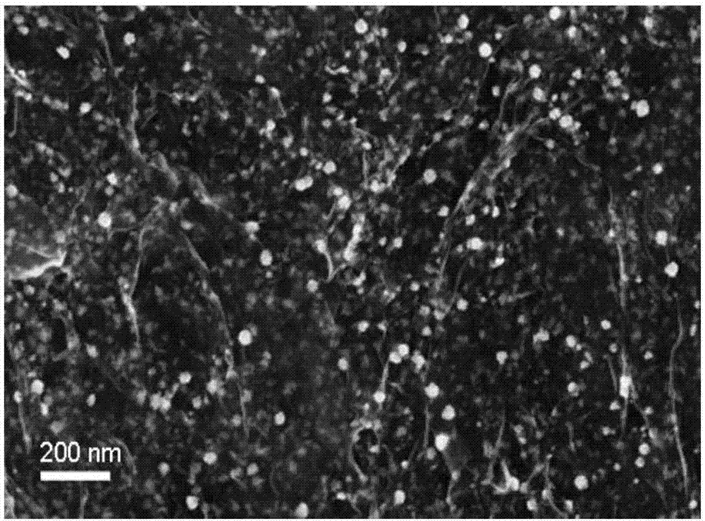 Preparation method of high-activity electrode with two precious metals one-step modifying common metal nanocomposite surface