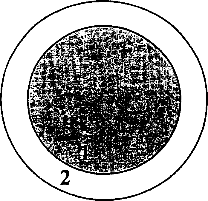 Core-shell polymer having hydrophilic shell for improved shell coverage and anti-blocking property