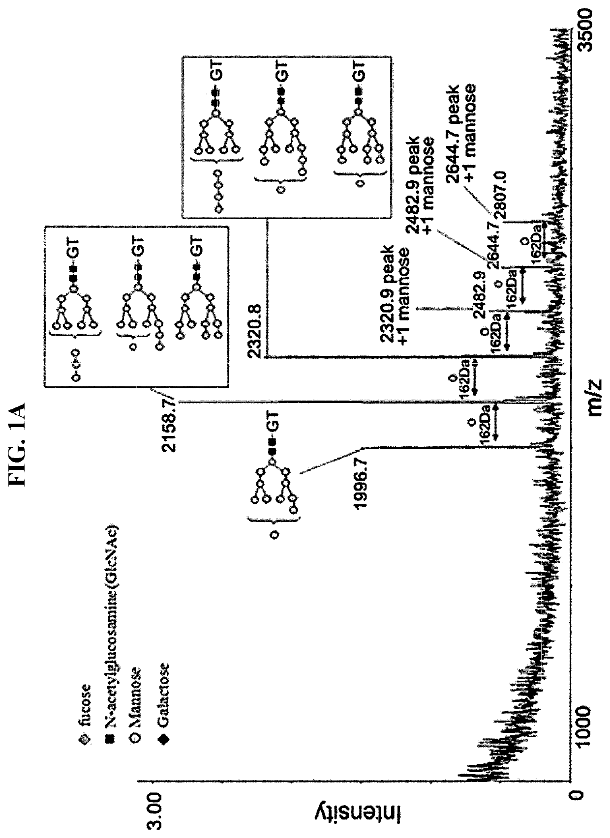 Recombinant batroxobin mixed composition and a hemostatic powder or hemostatic pad comprising same