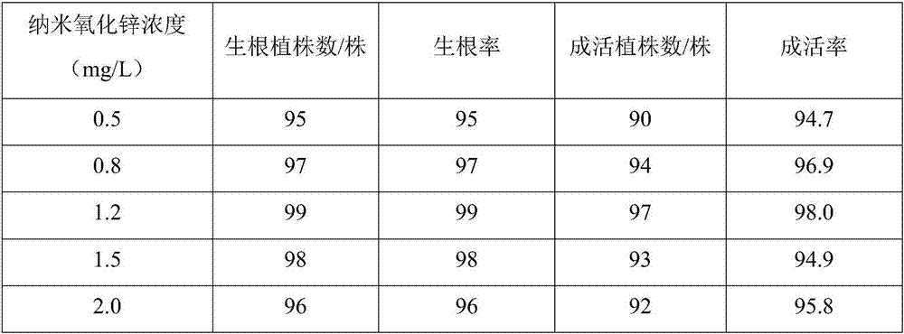 Tissue culture rapid propagation method for illigera trifoliata