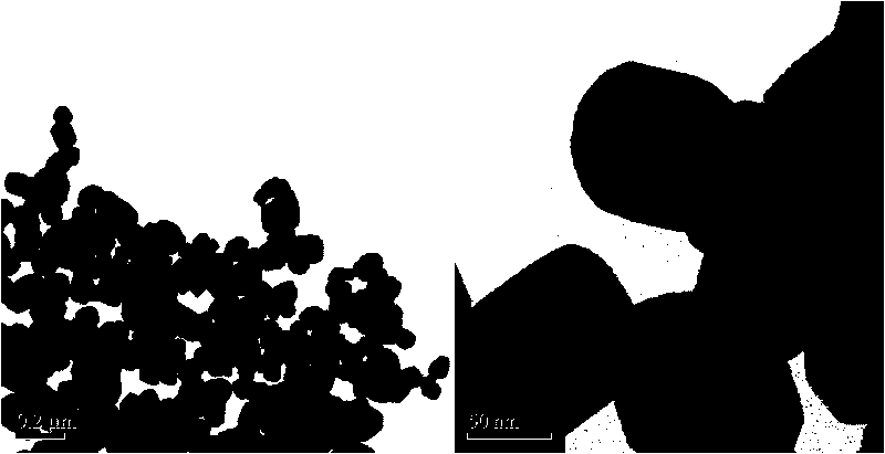 Method for preparing surface self-grown titanium nitride conducting film modified lithium titanate