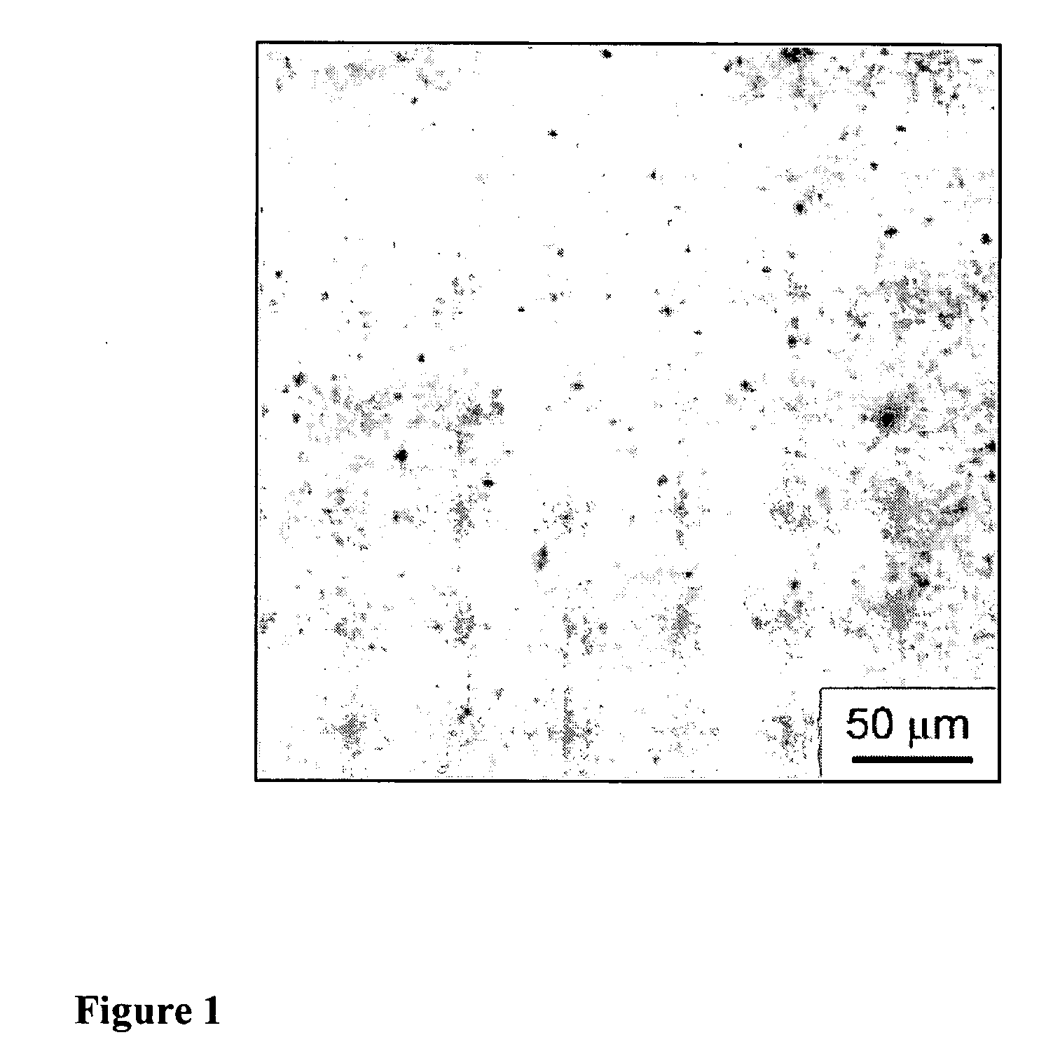 Polymer-nanotube composites, fibers, and processes